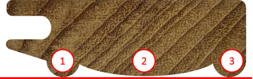Picture2